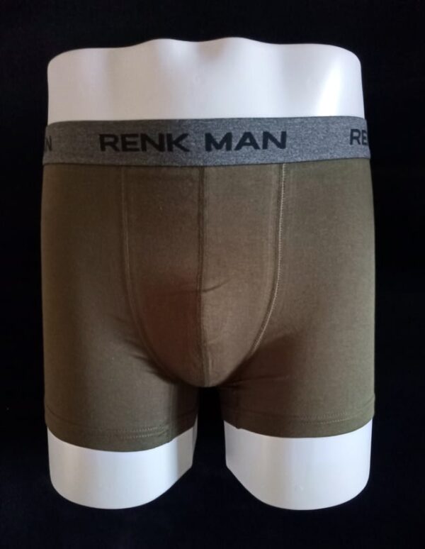 RENK BOXER