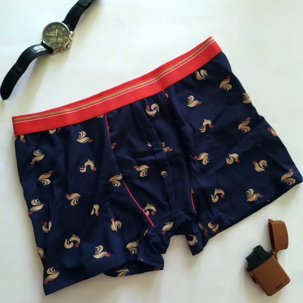 MR BIG BOXER (231)