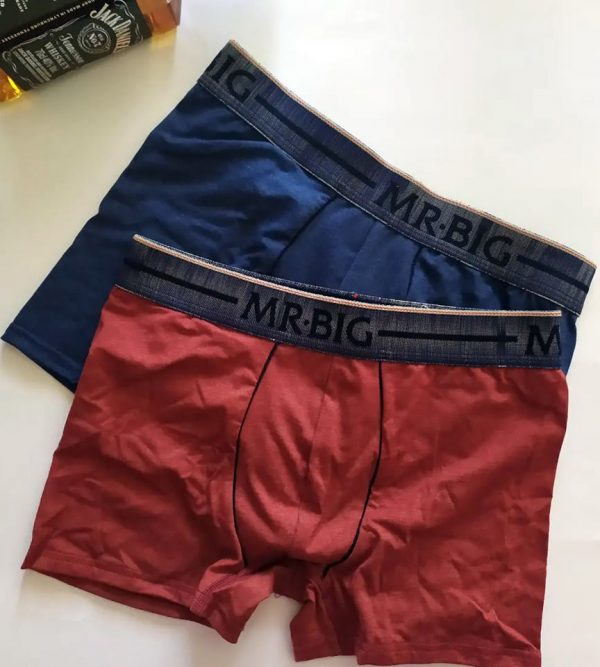 MR BIG BOXER (228)